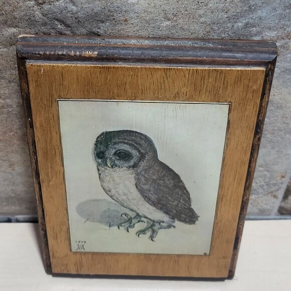 Vintage Framed Print The Little Owl Albrecht Durer - Picture 3 of 10